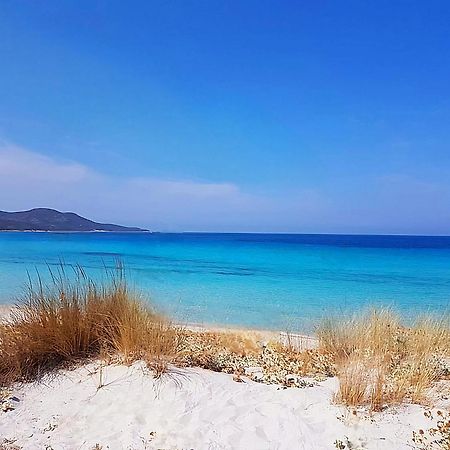 Appartement Vue Sur Mer Santa-Maria-di-Lota Εξωτερικό φωτογραφία
