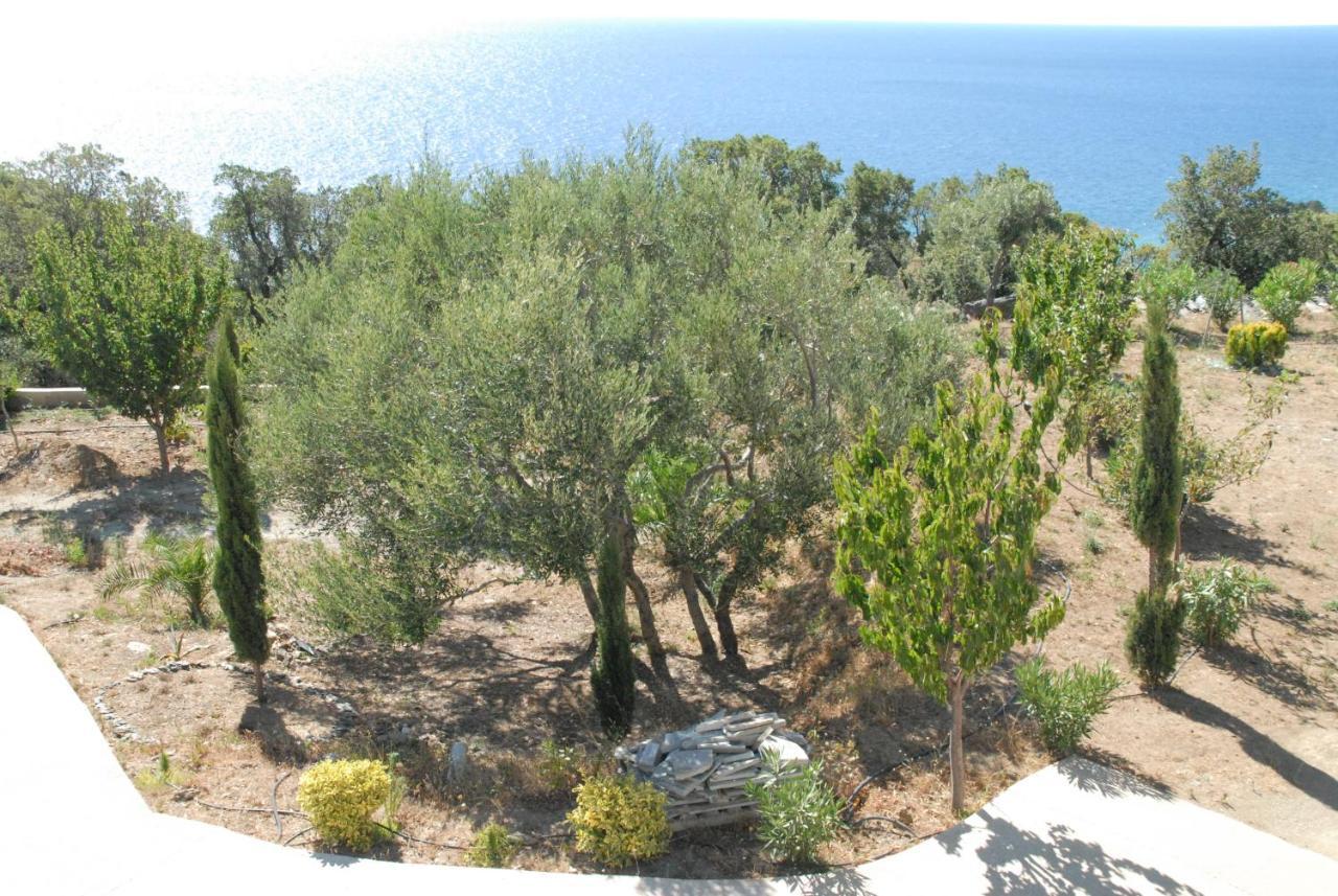 Appartement Vue Sur Mer Santa-Maria-di-Lota Εξωτερικό φωτογραφία