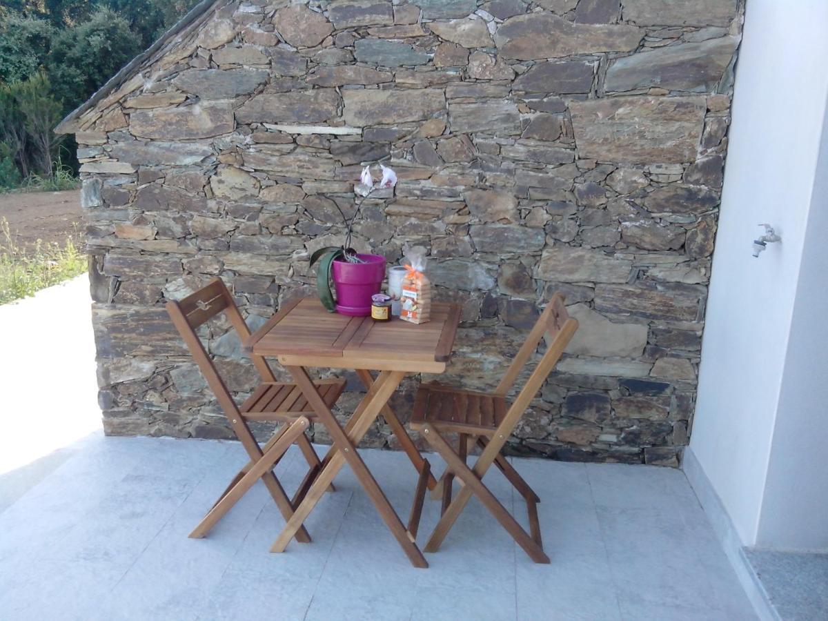 Appartement Vue Sur Mer Santa-Maria-di-Lota Εξωτερικό φωτογραφία