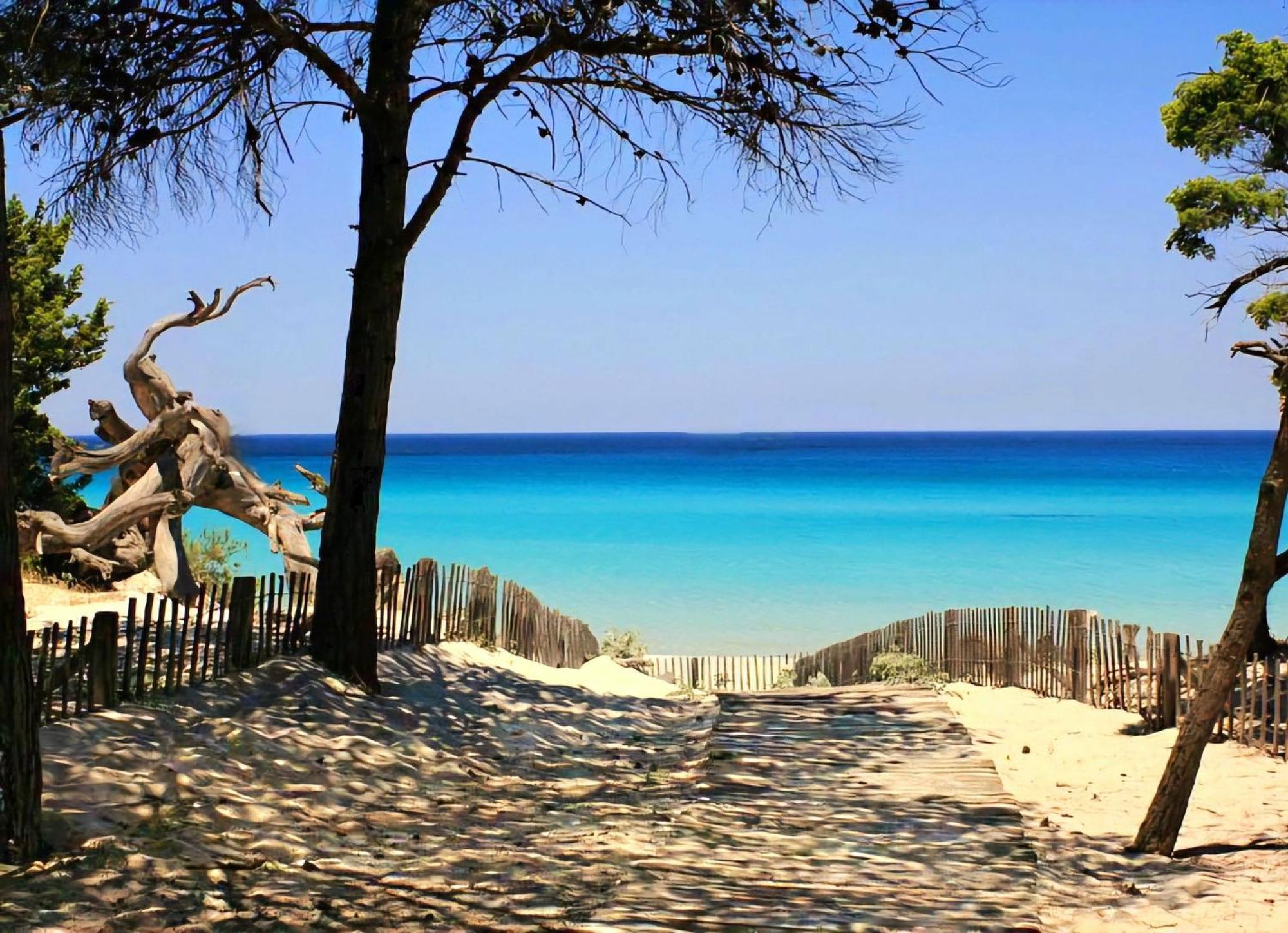 Appartement Vue Sur Mer Santa-Maria-di-Lota Εξωτερικό φωτογραφία
