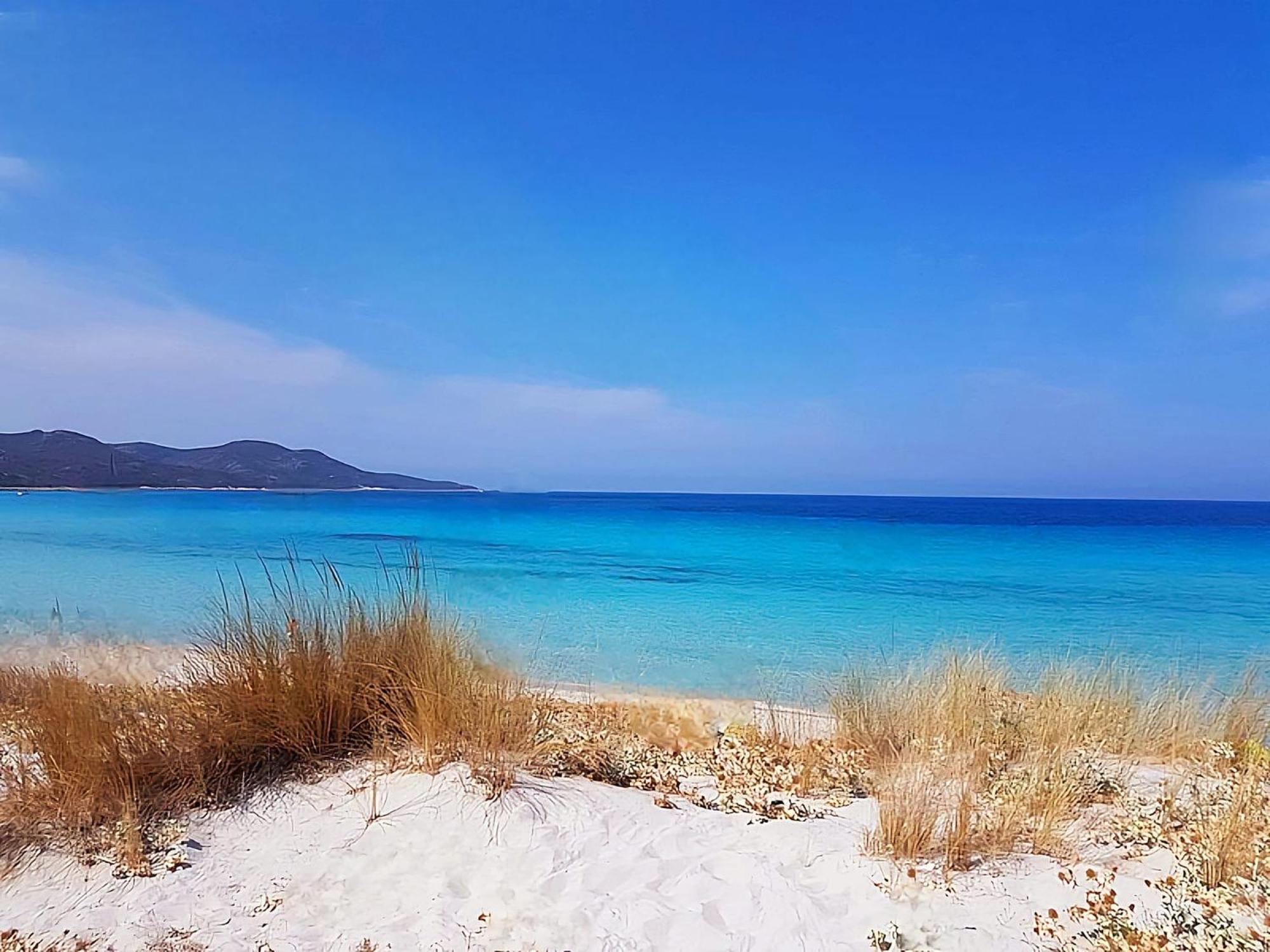 Appartement Vue Sur Mer Santa-Maria-di-Lota Εξωτερικό φωτογραφία