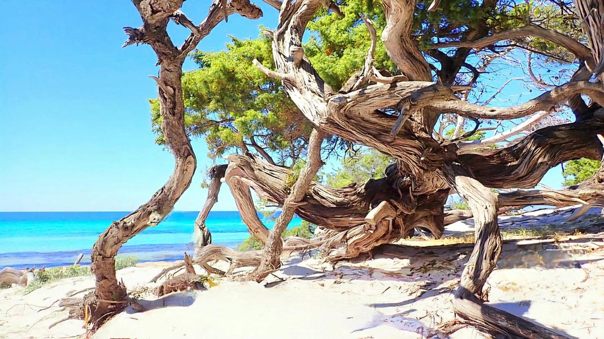 Appartement Vue Sur Mer Santa-Maria-di-Lota Εξωτερικό φωτογραφία
