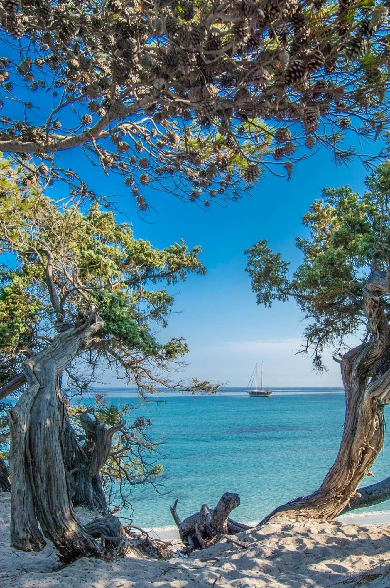 Appartement Vue Sur Mer Santa-Maria-di-Lota Εξωτερικό φωτογραφία